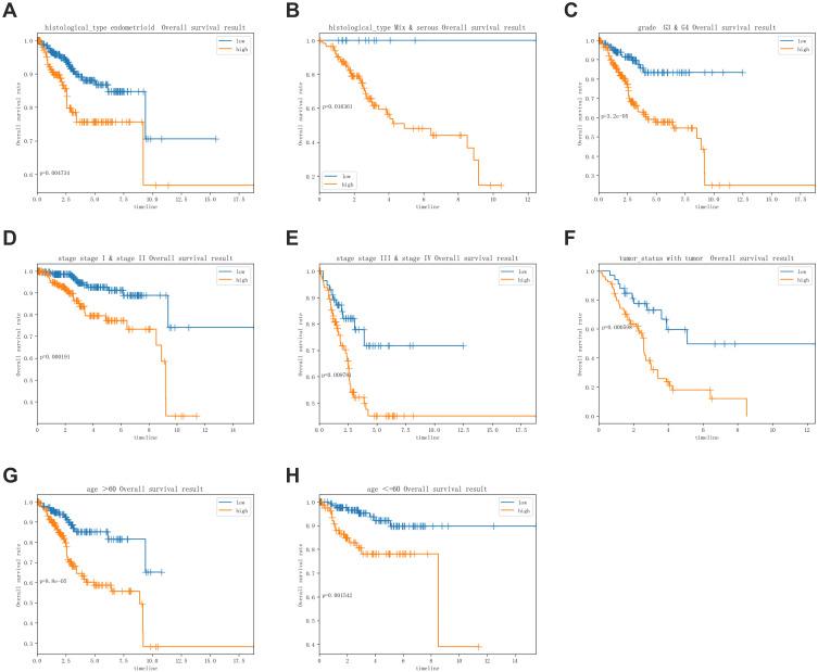 https://cdn.ncbi.nlm.nih.gov/pmc/blobs/1661/8725853/44b76d24eec0/IJGM-14-10541-g0006.jpg
