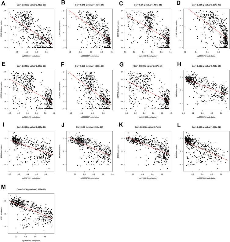 https://cdn.ncbi.nlm.nih.gov/pmc/blobs/1661/8725853/57781706a428/IJGM-14-10541-g0009.jpg