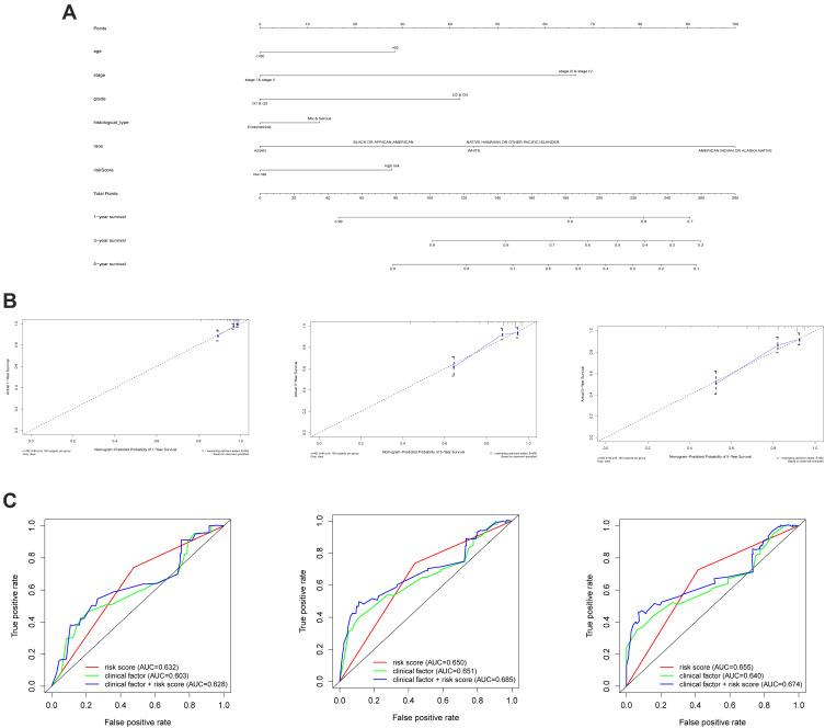 https://cdn.ncbi.nlm.nih.gov/pmc/blobs/1661/8725853/7b2547febf17/IJGM-14-10541-g0007.jpg