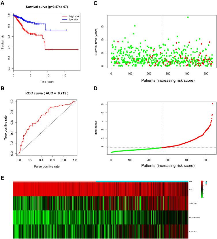 https://cdn.ncbi.nlm.nih.gov/pmc/blobs/1661/8725853/eacb13d59cf2/IJGM-14-10541-g0004.jpg