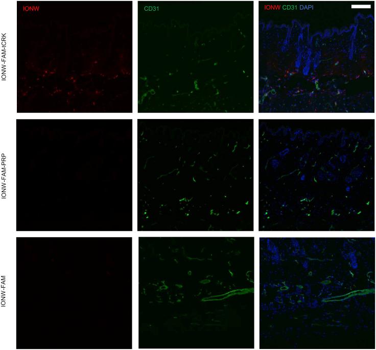 https://cdn.ncbi.nlm.nih.gov/pmc/blobs/1662/7403337/f5667d468cf3/gr2.jpg