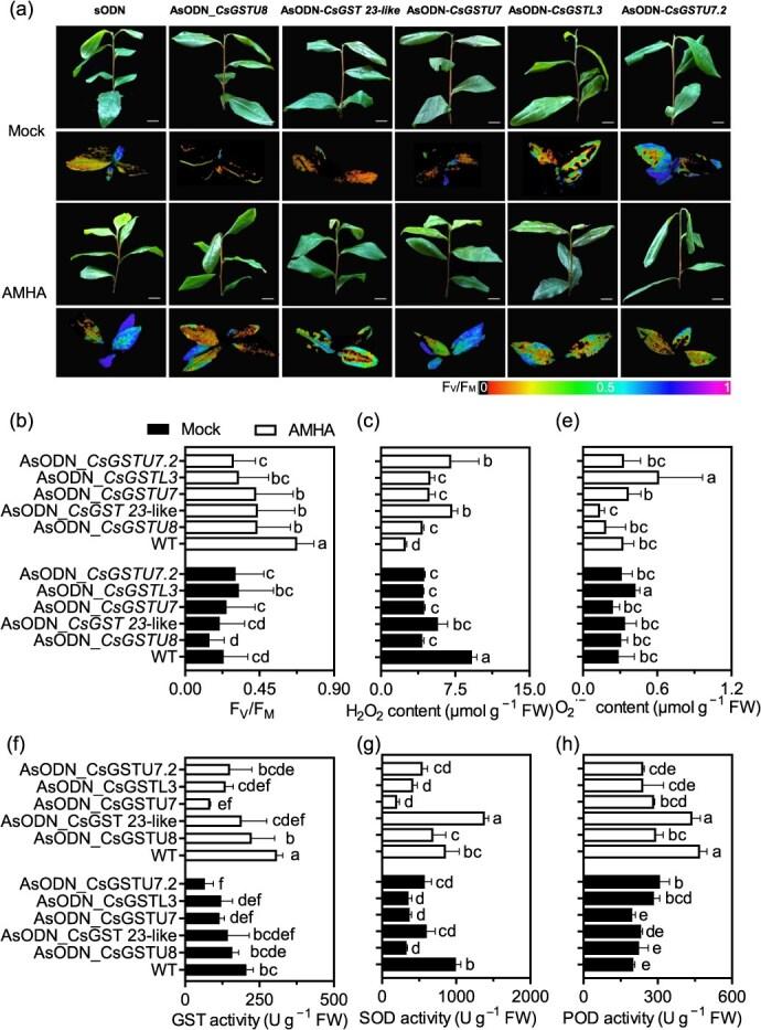 https://cdn.ncbi.nlm.nih.gov/pmc/blobs/1664/12038892/0bbebf84b139/uhaf073f6.jpg