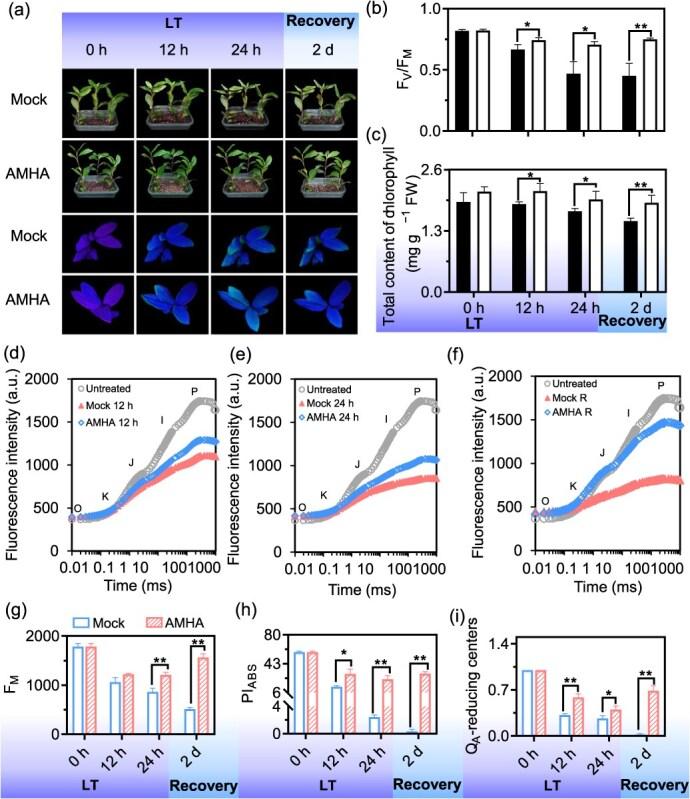 https://cdn.ncbi.nlm.nih.gov/pmc/blobs/1664/12038892/aa2a2d431521/uhaf073f1.jpg
