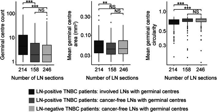 https://cdn.ncbi.nlm.nih.gov/pmc/blobs/1665/10720675/10f85efb7702/PATH-260-376-g002.jpg