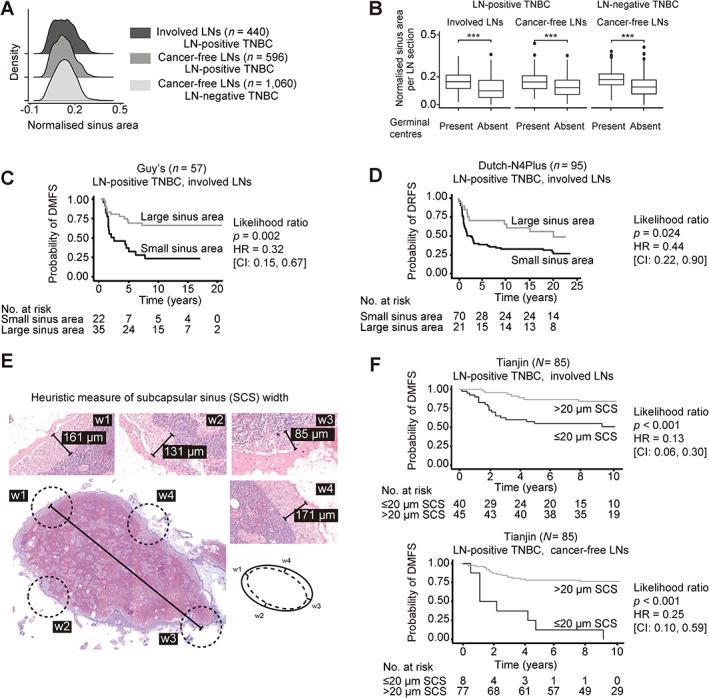 https://cdn.ncbi.nlm.nih.gov/pmc/blobs/1665/10720675/7296dc557807/PATH-260-376-g003.jpg