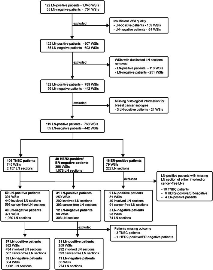 https://cdn.ncbi.nlm.nih.gov/pmc/blobs/1665/10720675/9b3125182bd4/PATH-260-376-g004.jpg