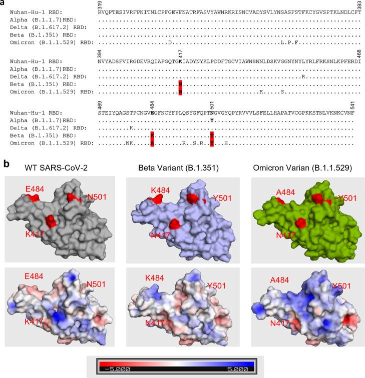 https://cdn.ncbi.nlm.nih.gov/pmc/blobs/1665/9092511/a3638e59c257/gr3.jpg