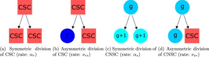 https://cdn.ncbi.nlm.nih.gov/pmc/blobs/1667/12328638/1d823210c2e8/41540_2025_560_Fig9_HTML.jpg