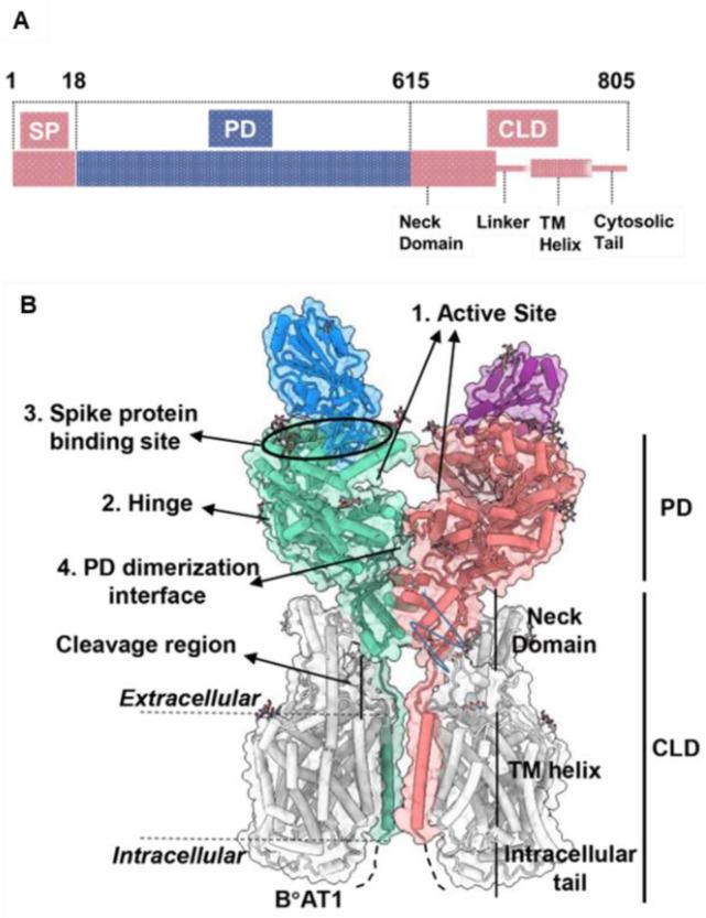 https://cdn.ncbi.nlm.nih.gov/pmc/blobs/1669/9688389/58e050d00e0d/biosensors-12-00984-g002.jpg