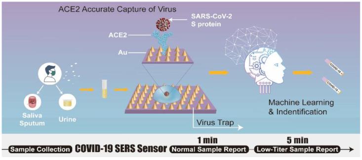https://cdn.ncbi.nlm.nih.gov/pmc/blobs/1669/9688389/67870401dbbe/biosensors-12-00984-g010.jpg