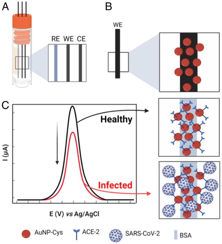 https://cdn.ncbi.nlm.nih.gov/pmc/blobs/1669/9688389/952812c2888b/biosensors-12-00984-g008.jpg