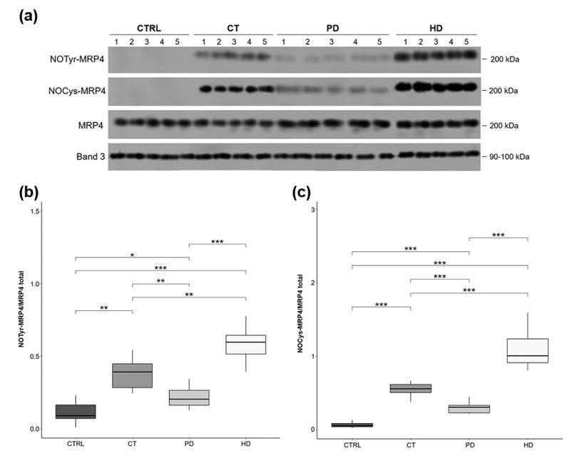 https://cdn.ncbi.nlm.nih.gov/pmc/blobs/166a/8002384/f9b77b98babe/ijms-22-03049-g003.jpg
