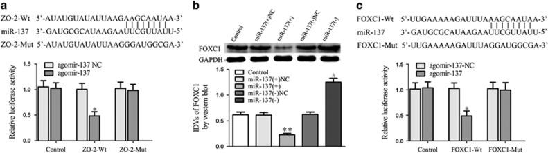 https://cdn.ncbi.nlm.nih.gov/pmc/blobs/166e/5533948/7ba7e0aced5e/oncsis20177f5.jpg