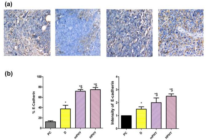 https://cdn.ncbi.nlm.nih.gov/pmc/blobs/166f/10761494/42cd5a156157/13346_2023_1409_Fig11_HTML.jpg