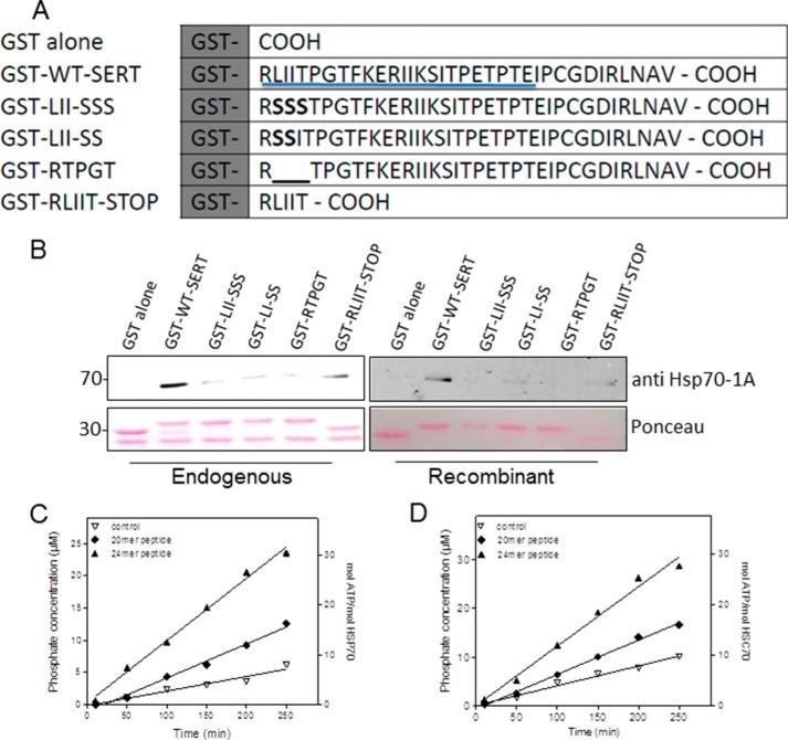 https://cdn.ncbi.nlm.nih.gov/pmc/blobs/166f/4200255/19b744784861/zbc0471499270001.jpg