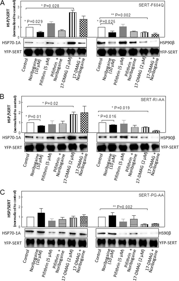 https://cdn.ncbi.nlm.nih.gov/pmc/blobs/166f/4200255/a86c49163f52/zbc0471499270007.jpg