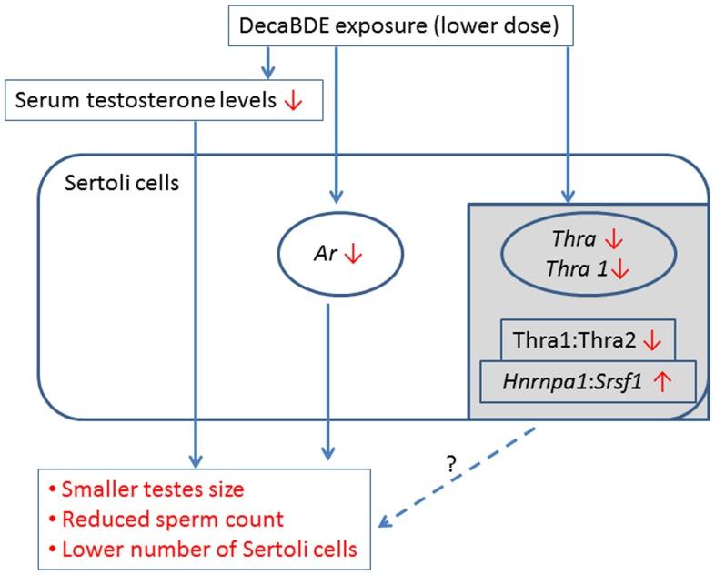https://cdn.ncbi.nlm.nih.gov/pmc/blobs/166f/4257688/20febab62b80/pone.0114487.g005.jpg