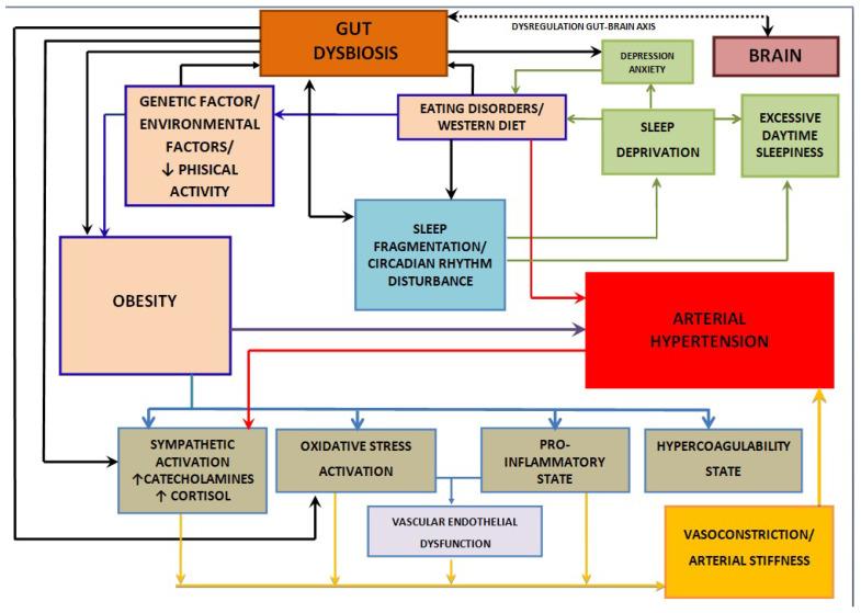 https://cdn.ncbi.nlm.nih.gov/pmc/blobs/1670/11642974/150cdbff2b09/nutrients-16-04057-g001.jpg