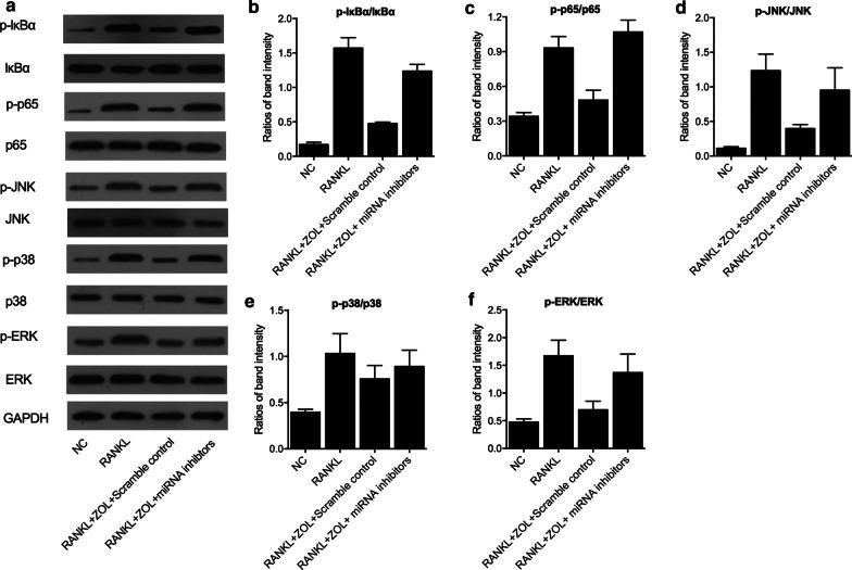 https://cdn.ncbi.nlm.nih.gov/pmc/blobs/1670/7908730/826ae2ed16ae/10020_2021_276_Fig7_HTML.jpg