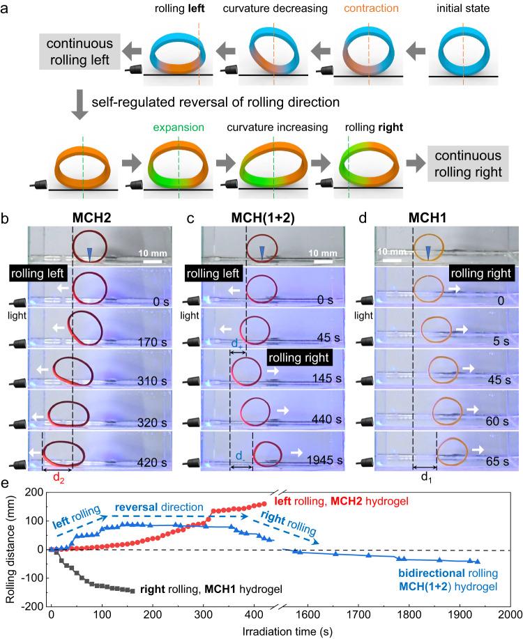 https://cdn.ncbi.nlm.nih.gov/pmc/blobs/1671/10894256/a1b16ee19791/41467_2024_46100_Fig6_HTML.jpg