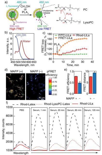 https://cdn.ncbi.nlm.nih.gov/pmc/blobs/1671/4874242/a54b15d72969/nihms-782702-f0005.jpg