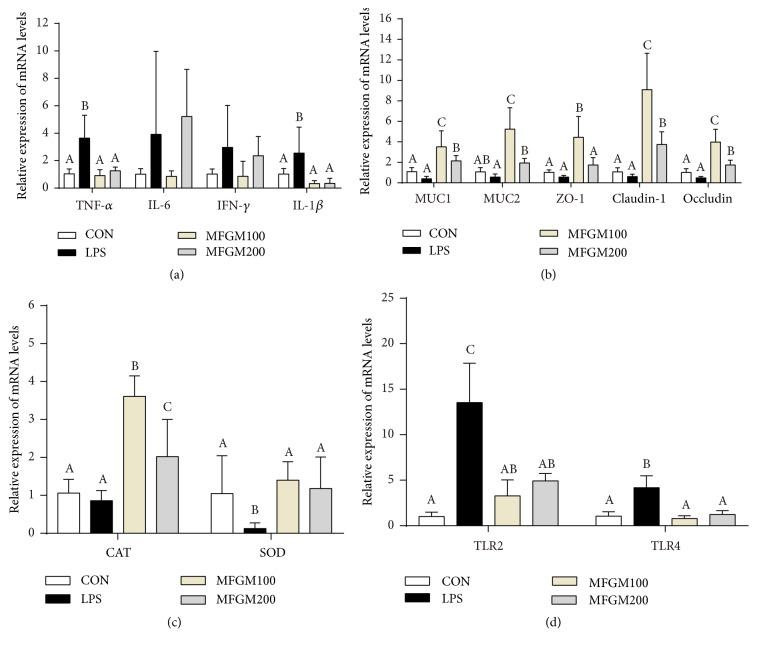 https://cdn.ncbi.nlm.nih.gov/pmc/blobs/1671/6521396/d3b5576317d8/BMRI2019-4876078.005.jpg