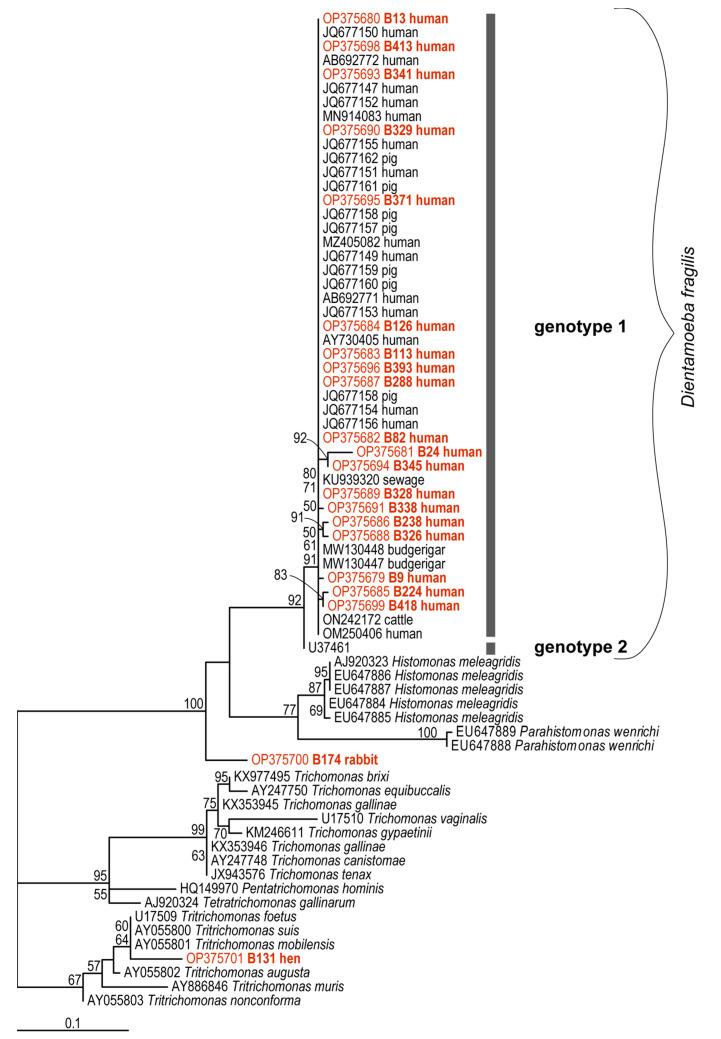 https://cdn.ncbi.nlm.nih.gov/pmc/blobs/1674/9737029/418ce1f00da1/ijms-23-15407-g001.jpg