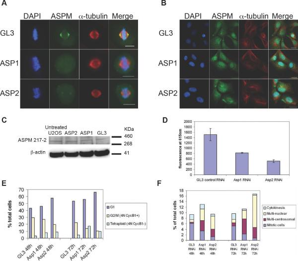 https://cdn.ncbi.nlm.nih.gov/pmc/blobs/1675/2988714/63257004b38c/1471-2121-11-85-3.jpg