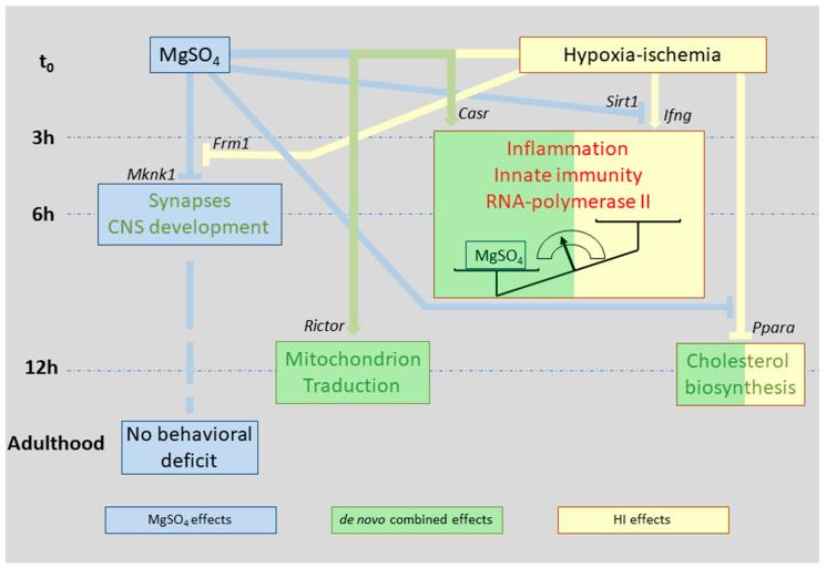 https://cdn.ncbi.nlm.nih.gov/pmc/blobs/1675/8074012/51909c5d7e85/ijms-22-04253-g010.jpg