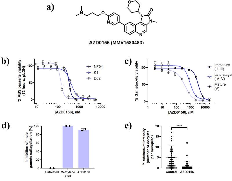 https://cdn.ncbi.nlm.nih.gov/pmc/blobs/167b/12232896/068cb0370b0d/ANIE-64-e202425206-g005.jpg