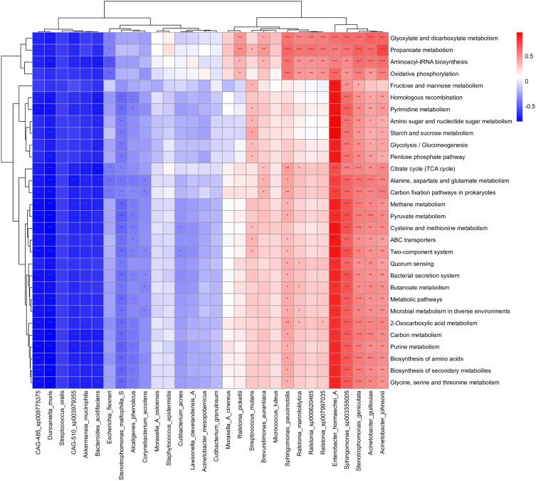 https://cdn.ncbi.nlm.nih.gov/pmc/blobs/167b/12301127/8e5dfe6f53a5/DMSO-18-2451-g0006.jpg