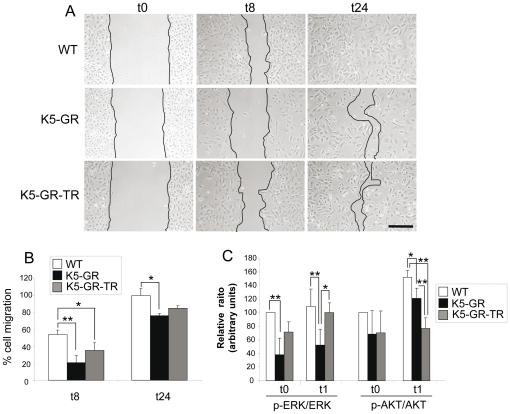 https://cdn.ncbi.nlm.nih.gov/pmc/blobs/167c/3250471/b93eafb210f0/pone.0029701.g006.jpg
