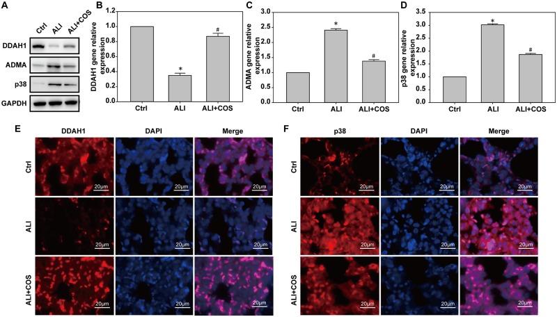 https://cdn.ncbi.nlm.nih.gov/pmc/blobs/167c/5802901/64b9884432ff/pone.0192135.g006.jpg