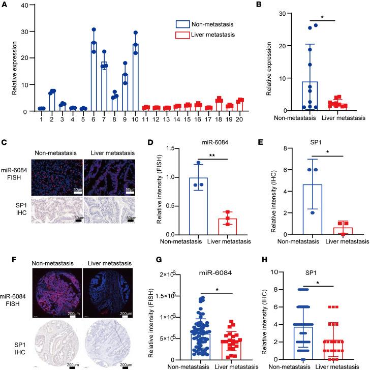 https://cdn.ncbi.nlm.nih.gov/pmc/blobs/167d/12288965/153f6a656a04/jciinsight-10-189503-g039.jpg