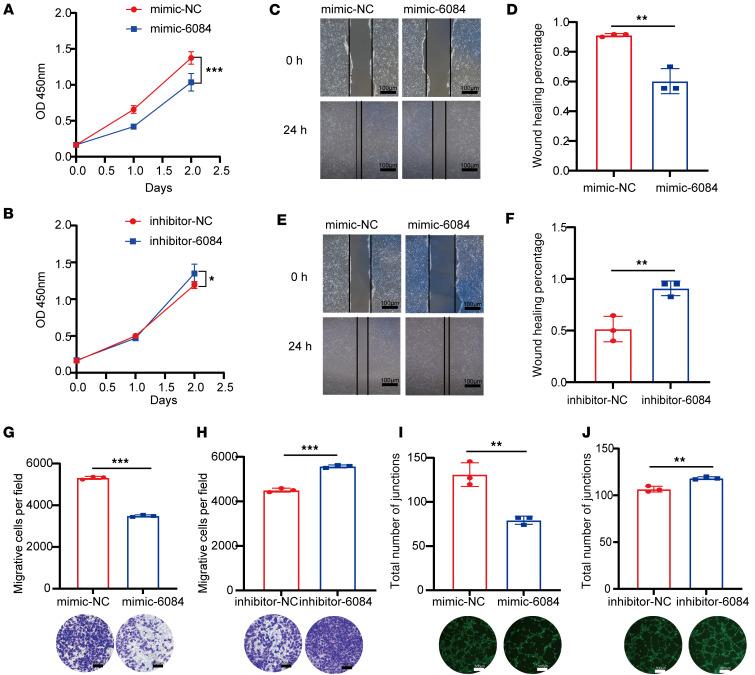 https://cdn.ncbi.nlm.nih.gov/pmc/blobs/167d/12288965/2cfa7ce654c2/jciinsight-10-189503-g035.jpg