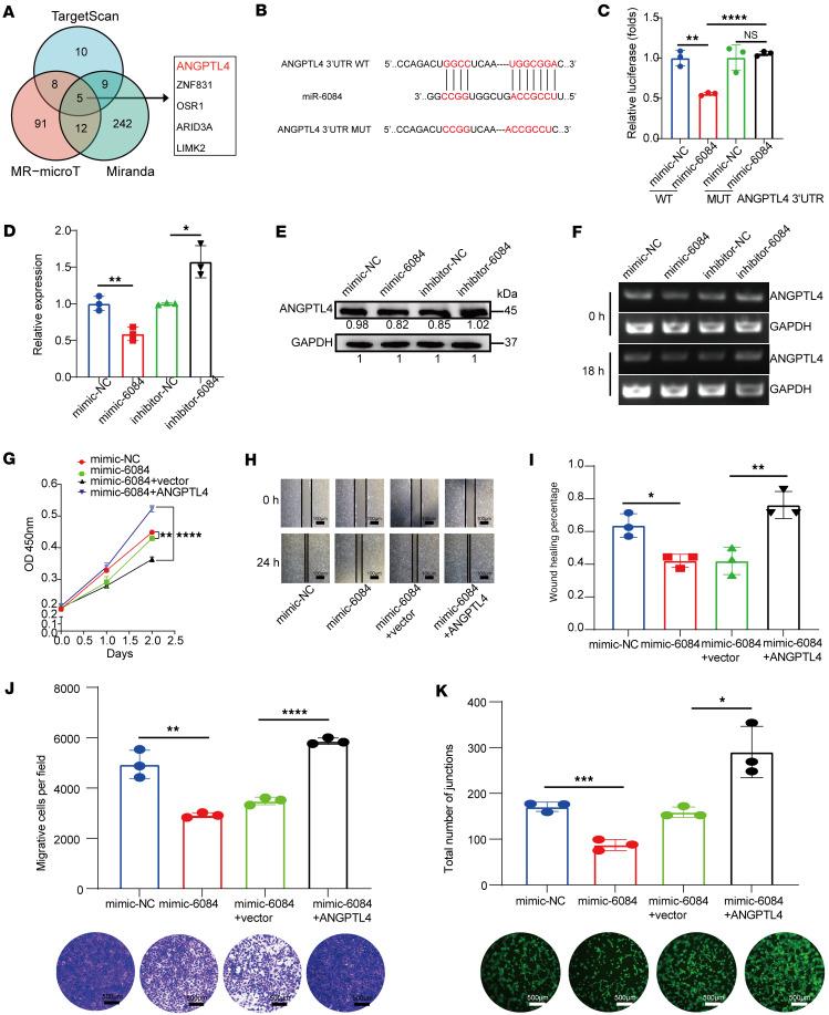 https://cdn.ncbi.nlm.nih.gov/pmc/blobs/167d/12288965/d475d7b5cb71/jciinsight-10-189503-g036.jpg