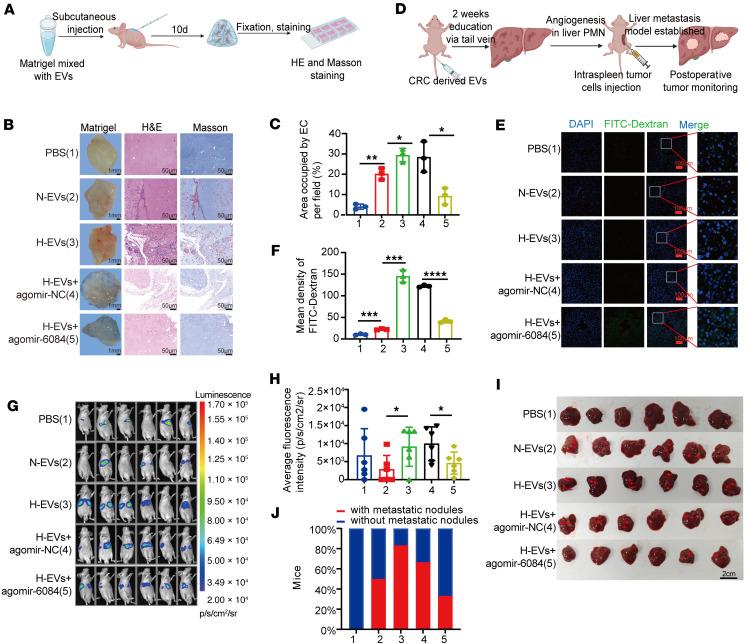https://cdn.ncbi.nlm.nih.gov/pmc/blobs/167d/12288965/d9324ff555e9/jciinsight-10-189503-g038.jpg