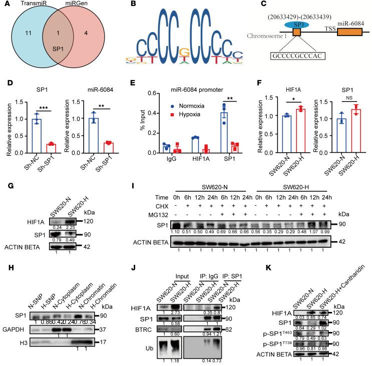 https://cdn.ncbi.nlm.nih.gov/pmc/blobs/167d/12288965/e587935ce4ed/jciinsight-10-189503-g037.jpg