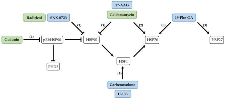 https://cdn.ncbi.nlm.nih.gov/pmc/blobs/167e/10488152/0b7eb8820f1e/ijms-24-13370-g001.jpg