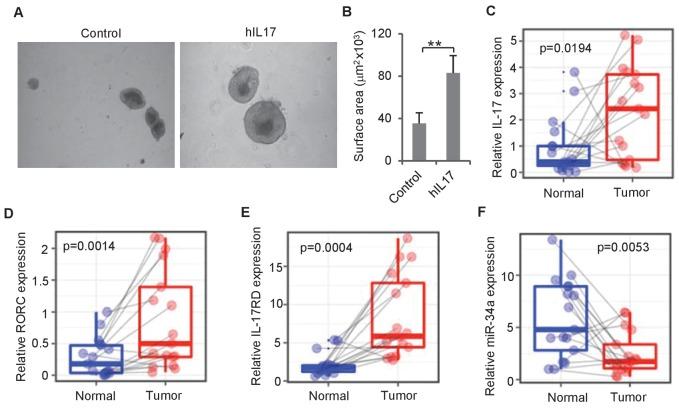 https://cdn.ncbi.nlm.nih.gov/pmc/blobs/167f/6314783/14c95ae76c5e/elife-39479-fig7.jpg