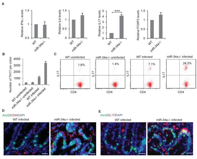https://cdn.ncbi.nlm.nih.gov/pmc/blobs/167f/6314783/846261dc8919/elife-39479-fig2.jpg