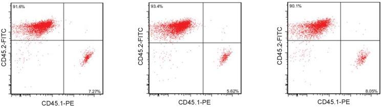 https://cdn.ncbi.nlm.nih.gov/pmc/blobs/167f/6314783/ead297950745/elife-39479-fig6-figsupp3.jpg
