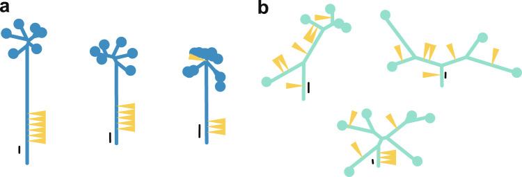 https://cdn.ncbi.nlm.nih.gov/pmc/blobs/1680/8384629/68820ba0b424/10038_2021_930_Fig4_HTML.jpg