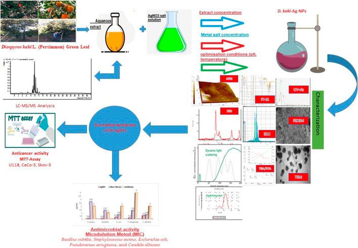 https://cdn.ncbi.nlm.nih.gov/pmc/blobs/1683/10265676/bdd454ea9796/fchem-11-1187808-g001.jpg