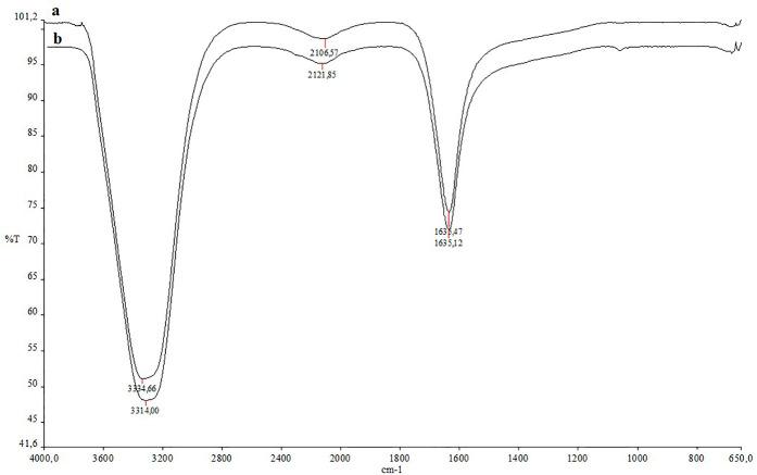 https://cdn.ncbi.nlm.nih.gov/pmc/blobs/1683/10265676/c93c6f5c275d/fchem-11-1187808-g009.jpg