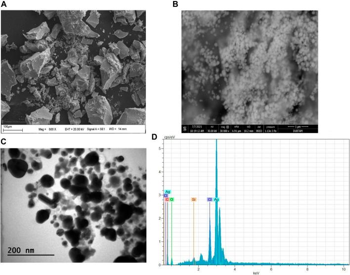 https://cdn.ncbi.nlm.nih.gov/pmc/blobs/1683/10265676/da68f4cd7d02/fchem-11-1187808-g004.jpg