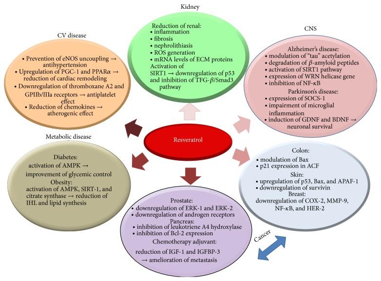 https://cdn.ncbi.nlm.nih.gov/pmc/blobs/1685/4477248/4a4f9aff551a/OMCL2015-803971.002.jpg