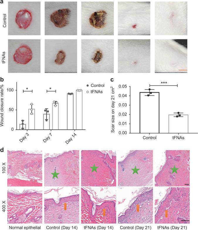 https://cdn.ncbi.nlm.nih.gov/pmc/blobs/1686/9622686/1e8d494d355b/41368_2022_199_Fig6_HTML.jpg