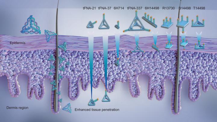 https://cdn.ncbi.nlm.nih.gov/pmc/blobs/1686/9622686/2c88f845e5d6/41368_2022_199_Fig2_HTML.jpg