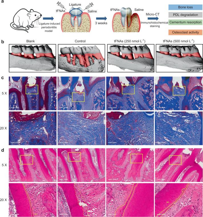 https://cdn.ncbi.nlm.nih.gov/pmc/blobs/1686/9622686/34864884e93b/41368_2022_199_Fig8_HTML.jpg